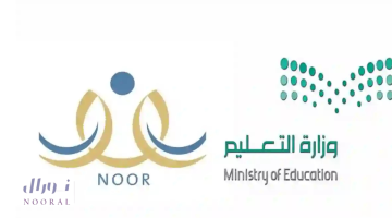 رسميًا.. فتح التسجيل الإلكتروني للصف الأول الابتدائي ورياض الأطفال للعام الدراسي 1447هـ
