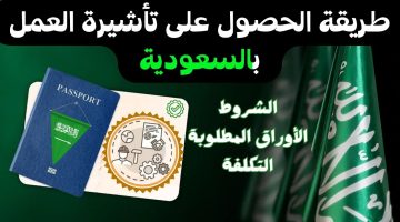 استخراج تأشيرة العمل في السعودية (الشروط و الاوراق المطلوبة و سعر التأشيرة و اجراءات السفر)